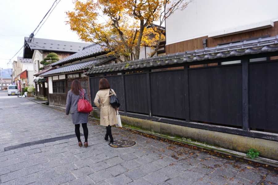 Cherry Blossoms and Hot Spring Relaxation